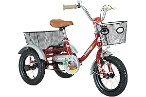 Tricycle Tire Bowl: An Ideal Bicycle-Themed Decor Piece