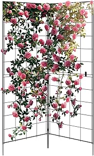 10 Wall Trellis Ideas for Climbing Flowers in Small Gardens 105 1 Pcs 2-Panel Folding Trellis for Climbing Plants, 59