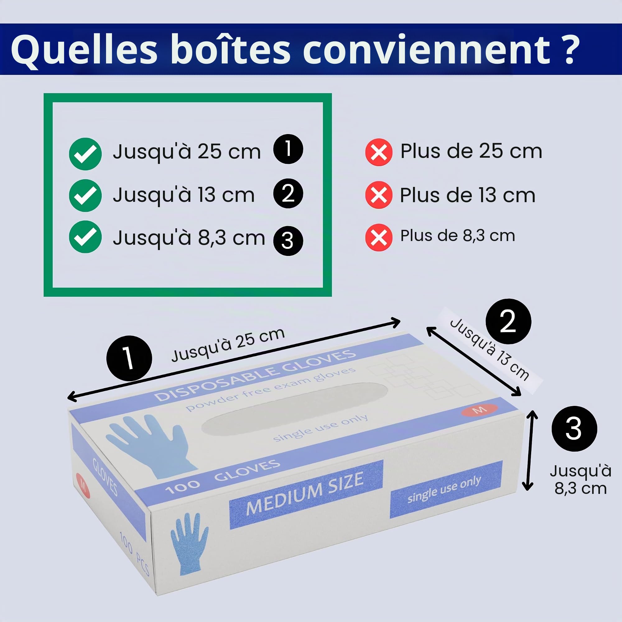 Support Mural pour Gants en Acier Inoxydable - Distributeur pour 2 Boîtes de Gants Jetables avec Accessoires de Montage
