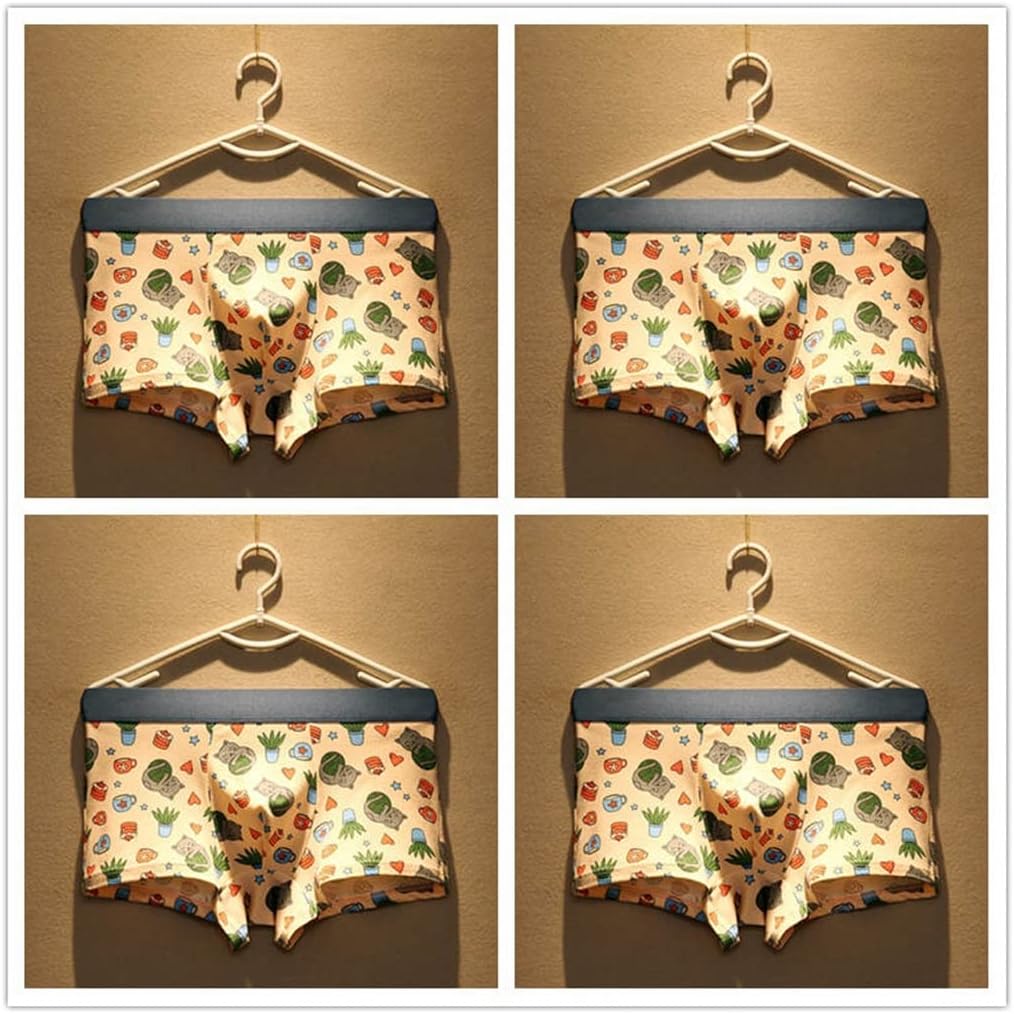 SDEWFG 4pcs/lot Cotton Panties Men's Panties Boxer Briefs Printed Casual Shorts (Color : E, Size : Large) : Clothing, Shoes & Jewelry