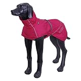 Ver la foto 2