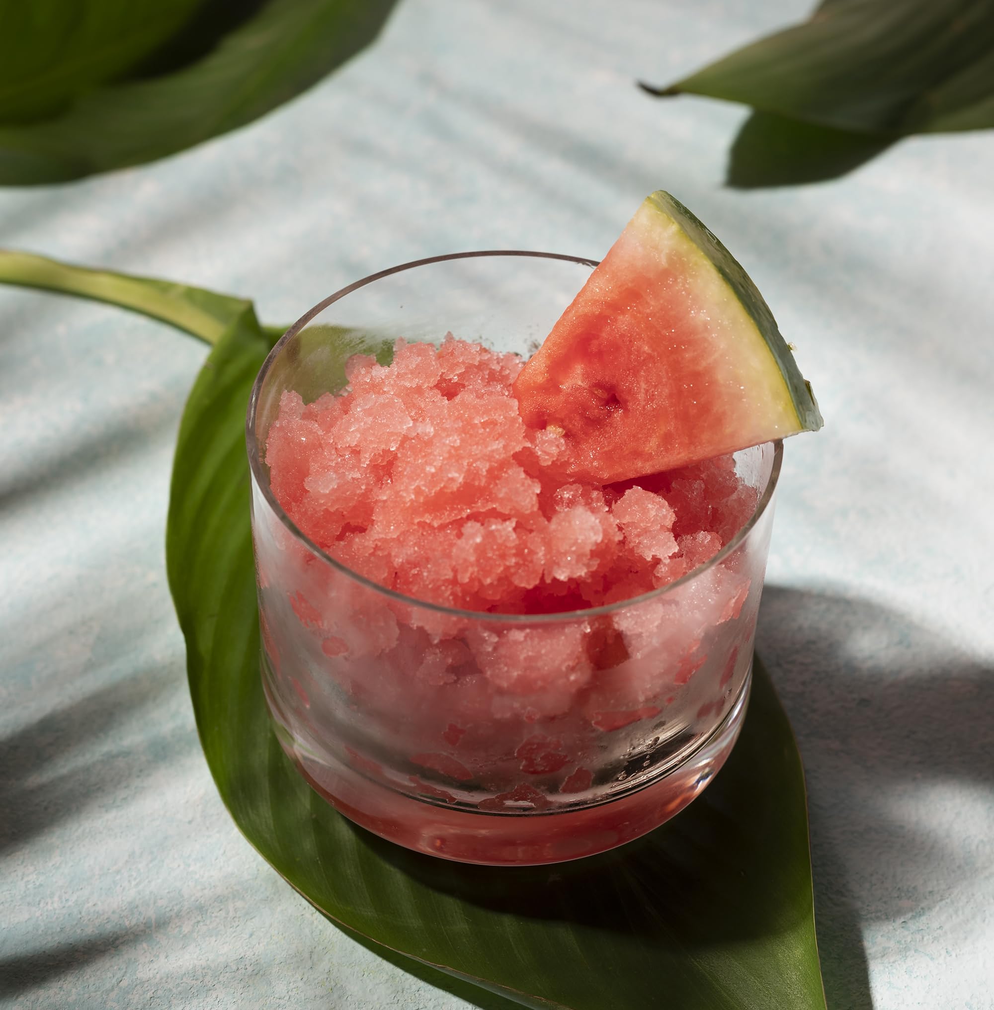 Granita Siciliana Gusto Anguria Senso Freddo Pronta da Gelare Dolfin - 12 Pz da 100 ml -