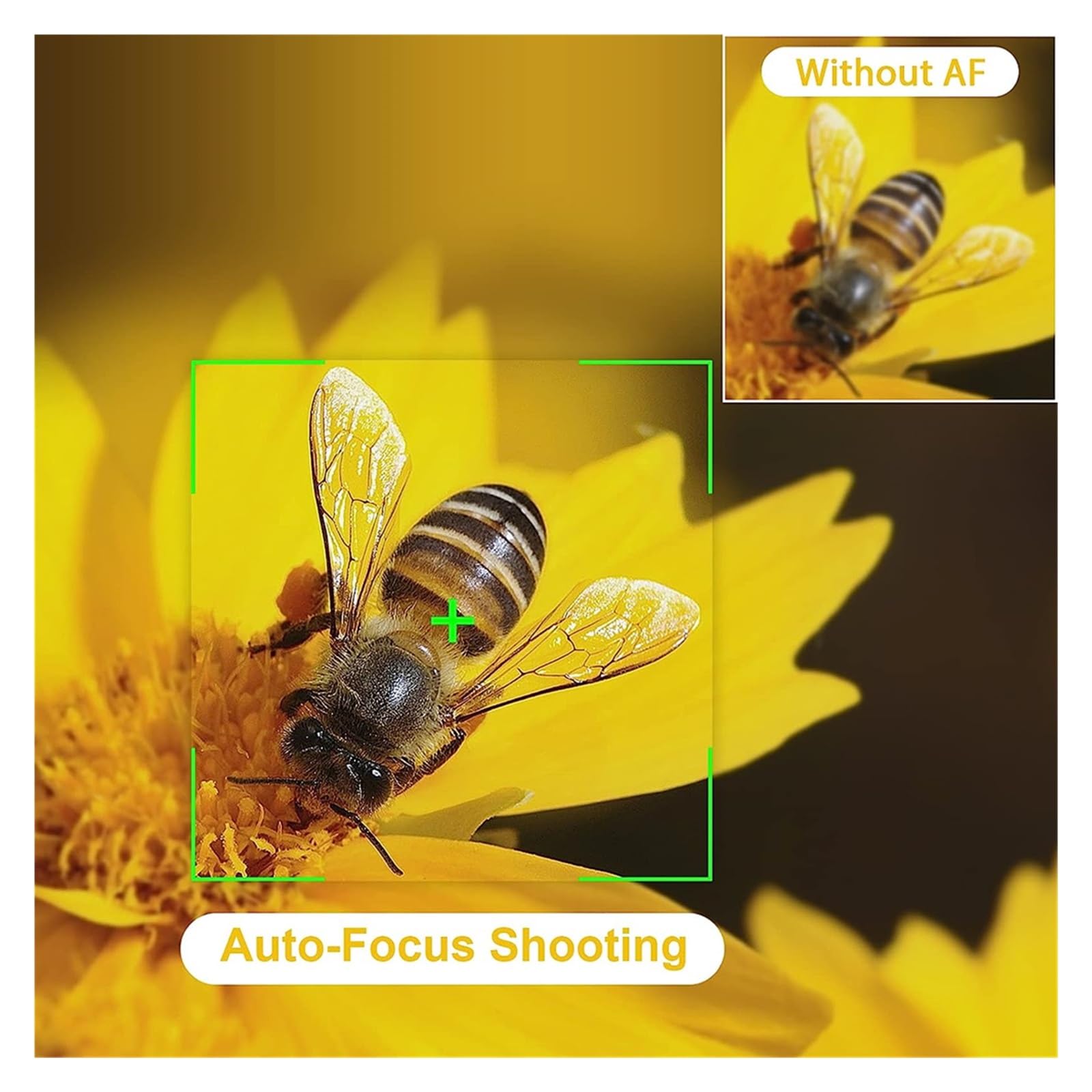 20X 56MP Aparat Cyfrowy Dla Dzieci Do Fotografii Mini Kamera 4K Początkujący Nowicjusz Kompaktowy Rejestrator Wideo Chłopcy Dziewczęta Z łatwością Uchwyć Wspaniałe Chwile(Red)