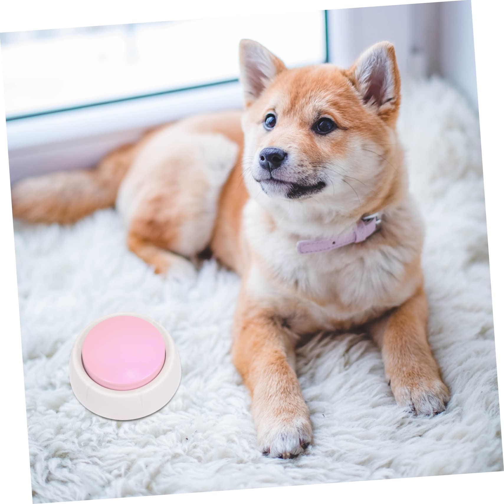 COSMEVIVI 2 Pcs Pet Communication Button Dog Cat Training Toy Recordable Talking Buttons Dog Education Toy Pp Material