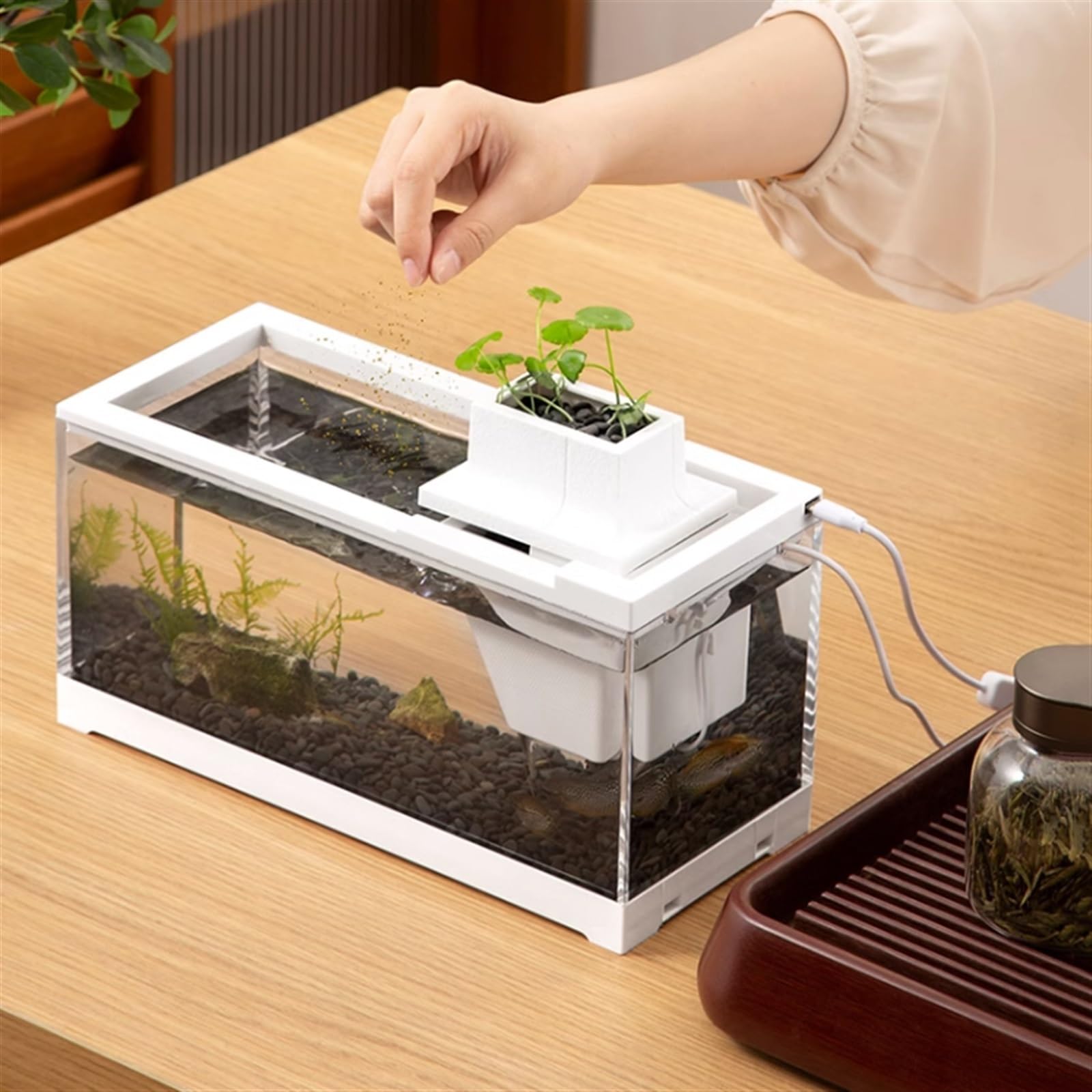 Aquarium Aquarium-Tank, transparent, rechteckig, aus Acryl, sturzsicher for den Heimgebrauch, mit Pumpe und integriertem Licht, ökologisches Aquarium Fischtank