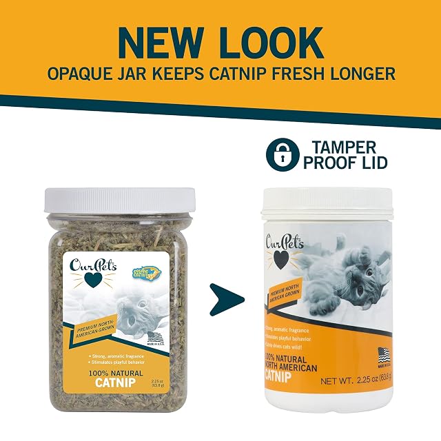 Foto 6 de 7 de Our Pets Catnip Tarro Gato Hierba, 2,25 oz