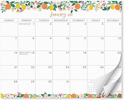 S&O Fruity - Calendario magnético para refrigerador 2024 desde ahora hasta diciembre de 2024. Calendario de refrigerador extraíble para rastrear