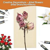 Vista 6 de 8 paneles de madera para pintar de 12 x 6 pulgadas, tableros de lienzo de madera sin terminar, panel cuadrado en blanco de madera acunada