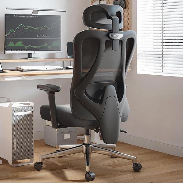 Hbada P3 Ergonnomic Office Chair with 2D Adjustable Lumbar Support, Office Chair with Adjustable Headrest and Armrest, 1