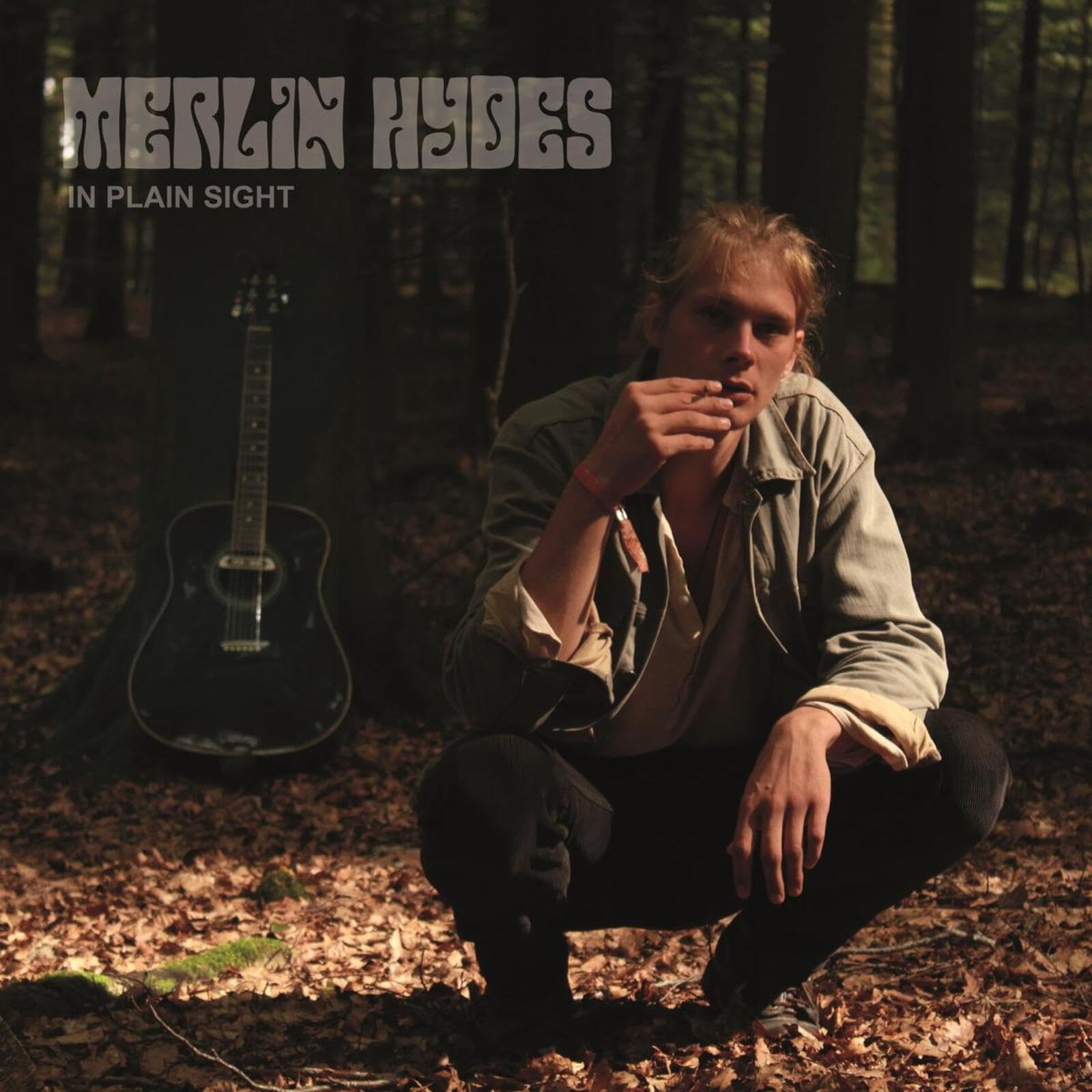 In Plain Sight [VINYL]