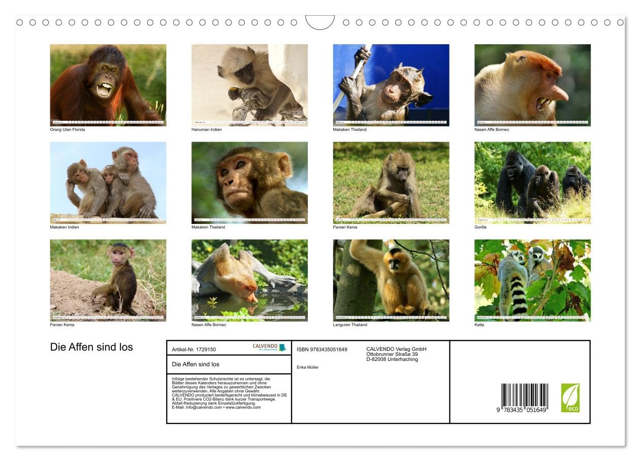 Die Affen sind los (Wandkalender 2025 DIN A3 quer), CALVENDO Monatskalender: Aufnahmen in Thailand und Borneo gemacht (CALVENDO Tiere)