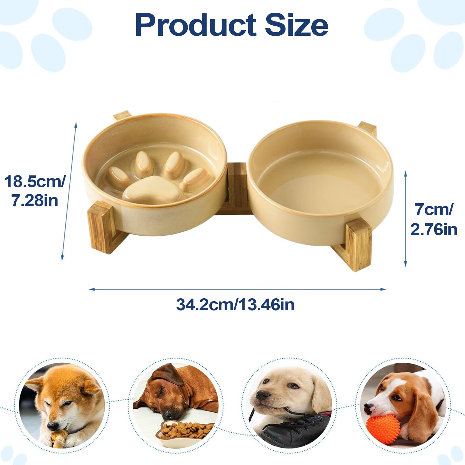 Gamelle pour Chien Anti-Glouton Gamelle Surélevée Chiot Moyen
