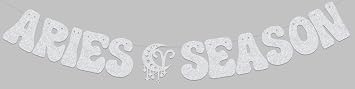 Aries Season Banner Aries Birthday Party Decoration Big Aries Energy Decoration Silver Glitter