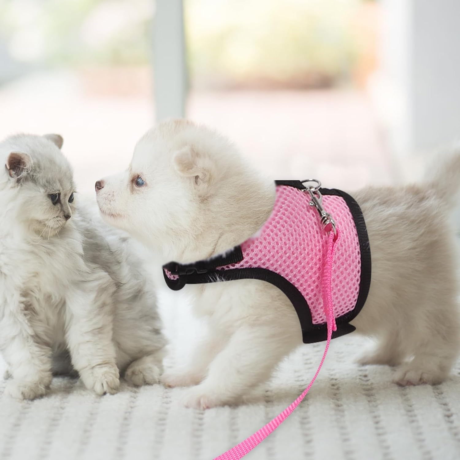 2pcs Adjustable Small Pet Harness Leash Set for Kittens and Small Pets, Breathable Mesh Cloth Vest with Foldable Design, Easy to Carry for Outdoor Travel and Walking