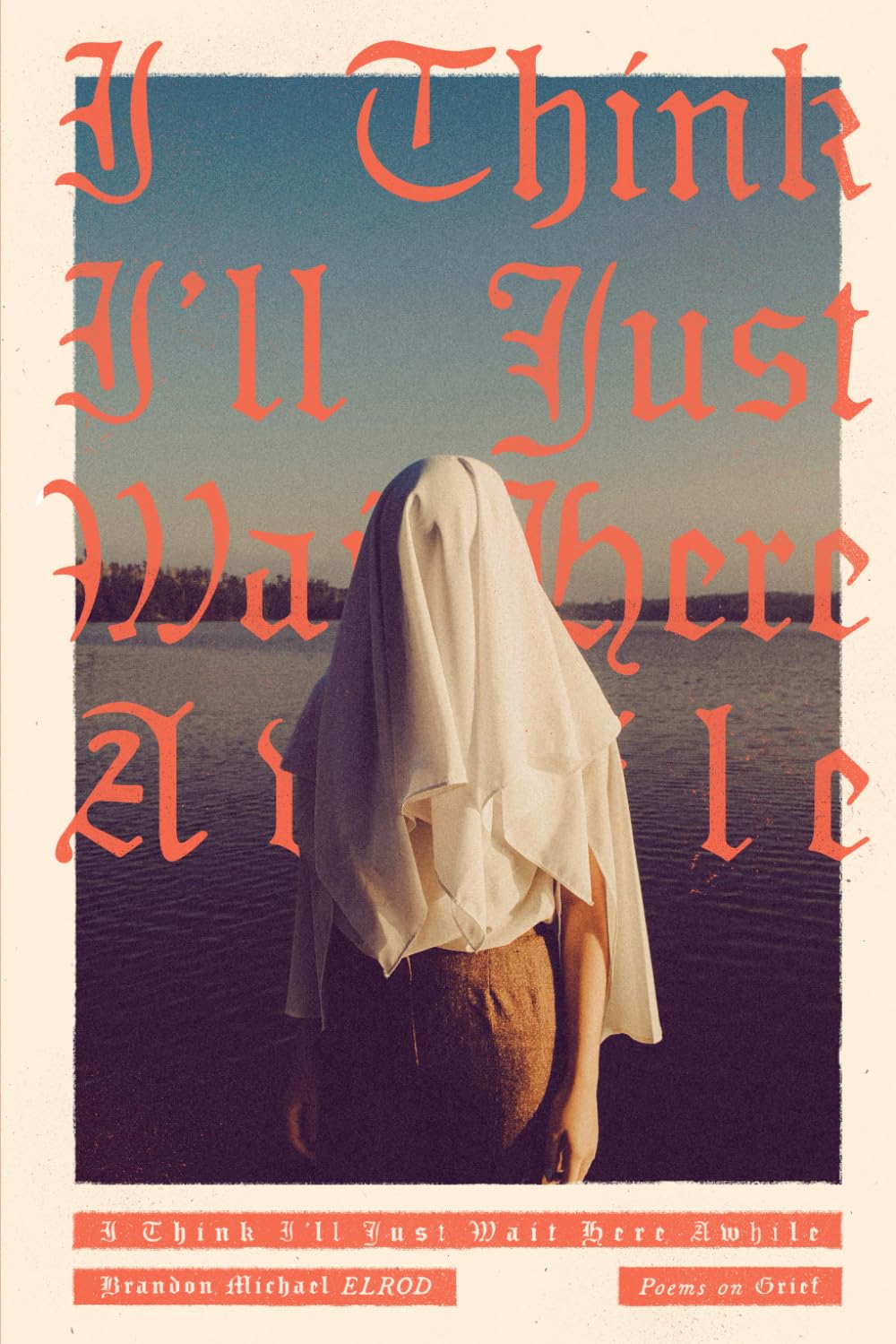 I Think I'll Just Wait Here Awhile: Poems on Grief