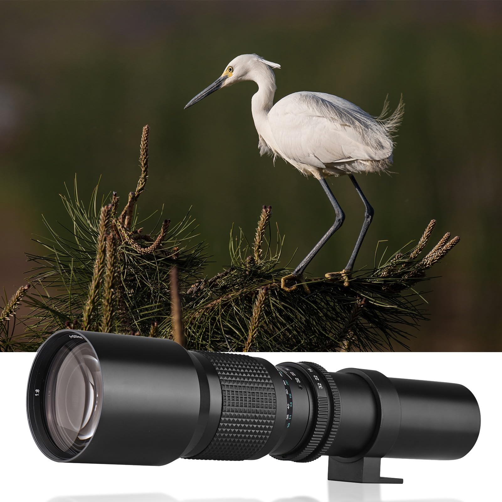 Obiettivo Super Teleobiettivo da 500 Mm per Fotocamere con Zoom Manuale, Apertura F8.0 F32, Obiettivo Multistrato, Attacco per Treppiede con Anello Adattatore per Attacco NEX E