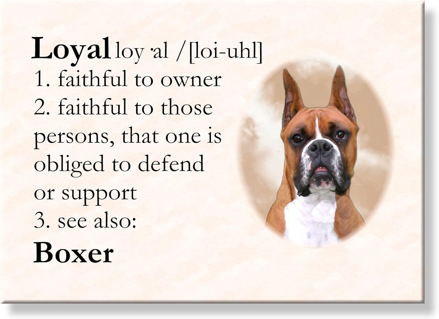 Boxer Dictionary Loyal Fridge Home & Kitchen