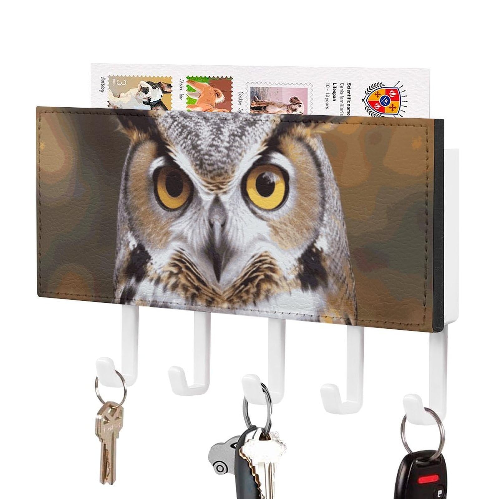 JTREHY Owl Birds Holder Wall-Mounted Key and Mail Holder,Key Rack with 5Keys Hooks, Easy to Install Mail Organizer for Entryway, Front Door, Hallway, Office