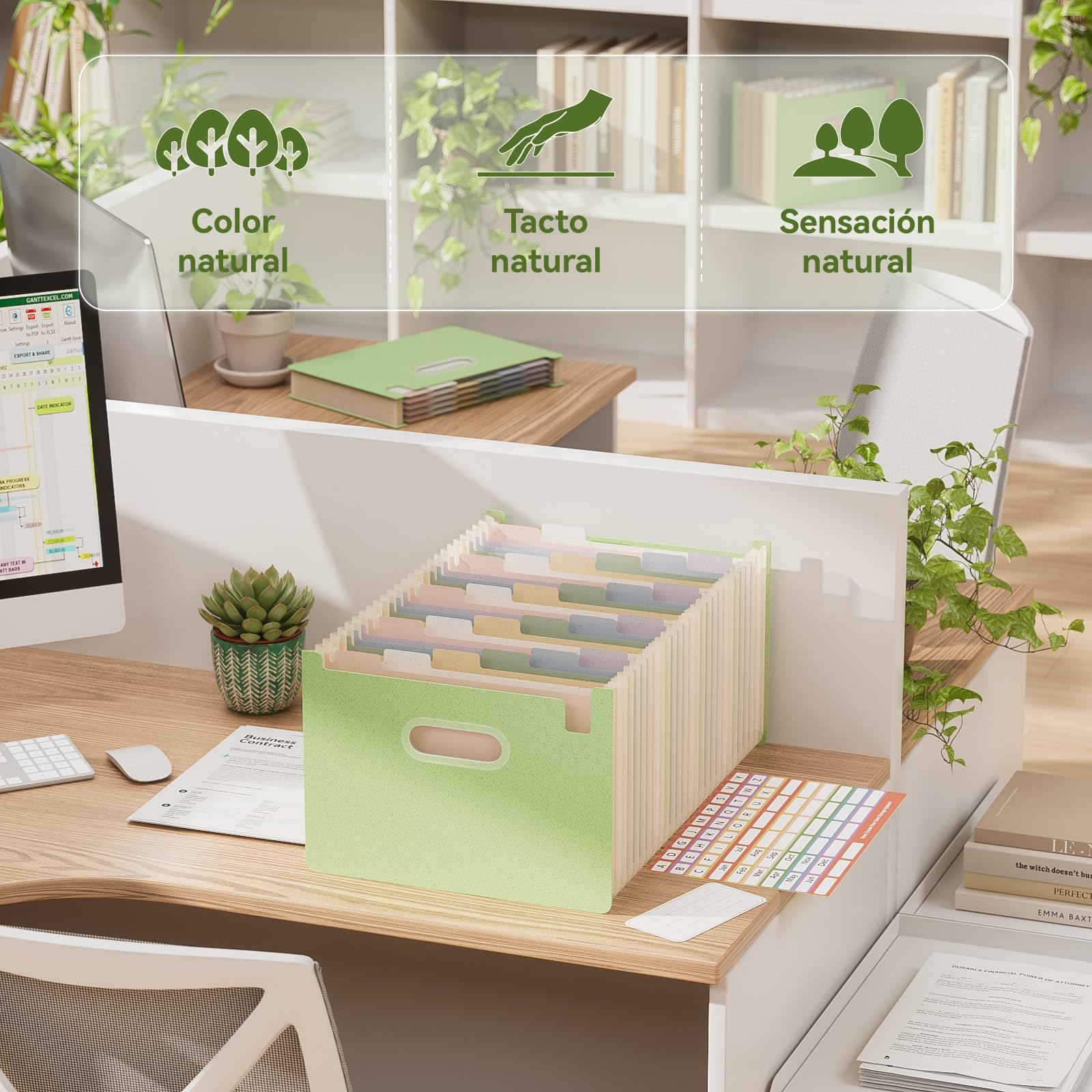 EcoStash Carpeta Clasificadora Acordeón 26 Bolsillos Archivador A4 Paja de Trigo Clasificador Documentos Expandibles Vertical Libre de BPA Verde Menta