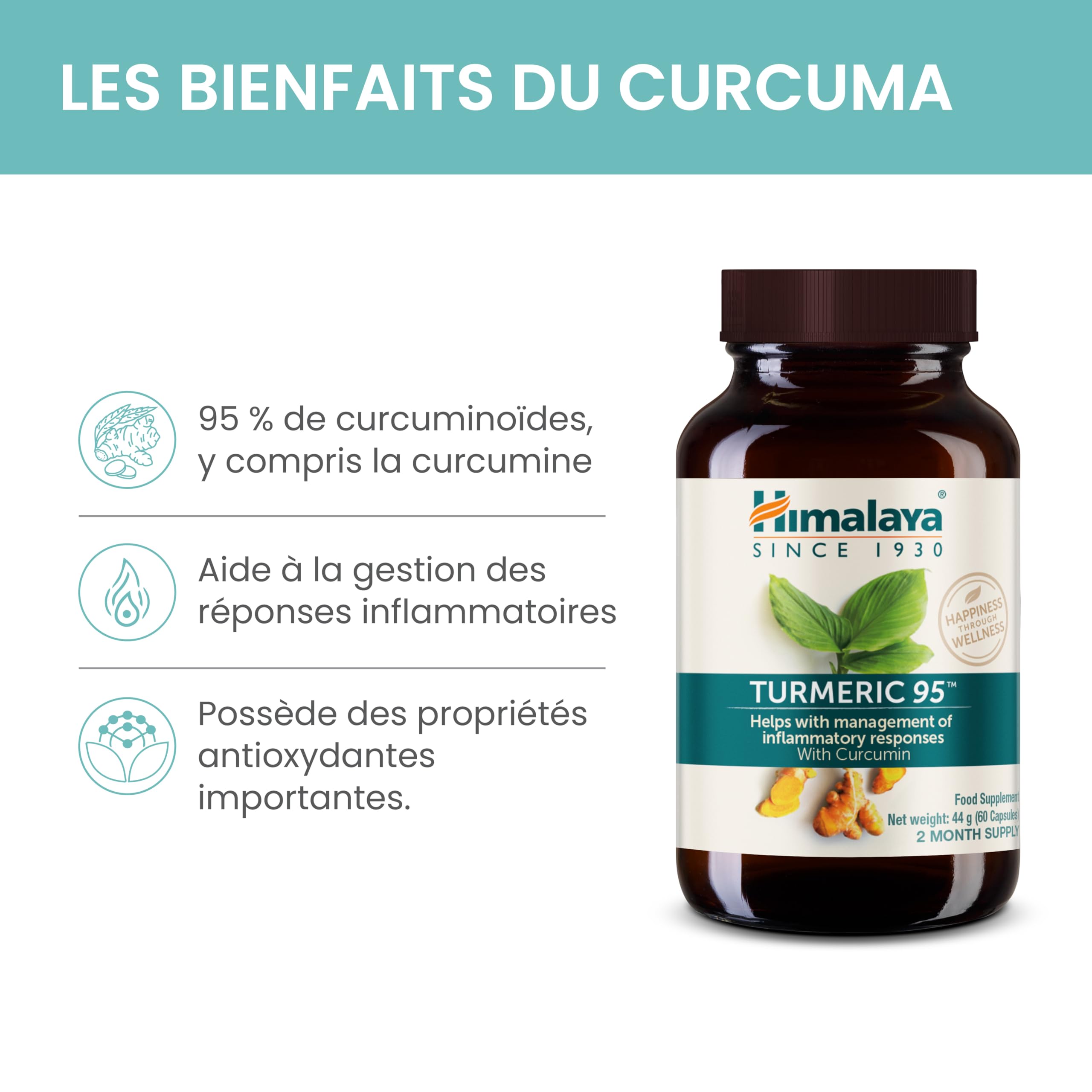 Himalaya Curcuma 95 Supplément avec curcumine/curcuminoïdes, soutient le système immunitaire, résistance aux allergies, 600 mg, végétalien, sans gluten, 60 capsules