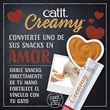 Ver la foto 5