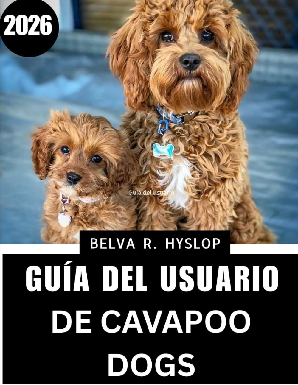 Guía del usuario de Cavapoo Dogs2026: Rutinas de cuidado paso a paso para un compañero feliz y saludable
