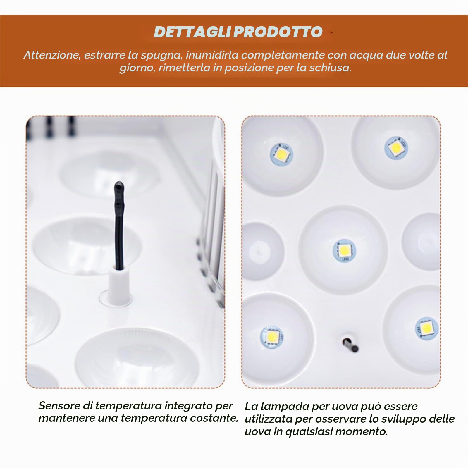 9 uova Mini incubatrice digitale LED Incubatrice completamente automatica Incubatrice per pollame Incubatrice per polli Anatre Oche Uccelli Quaglie