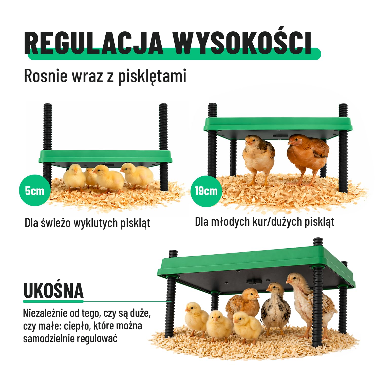 greate Płyta grzewcza 80 W dla piskląt 30 x 30 cm – płyta grzewcza do hodowli piskląt z regulacją wysokości i regulacja w zakresie 10-70 °C z wyświetlaczem LED – płyta grzewcza dla kurcząt – płyta