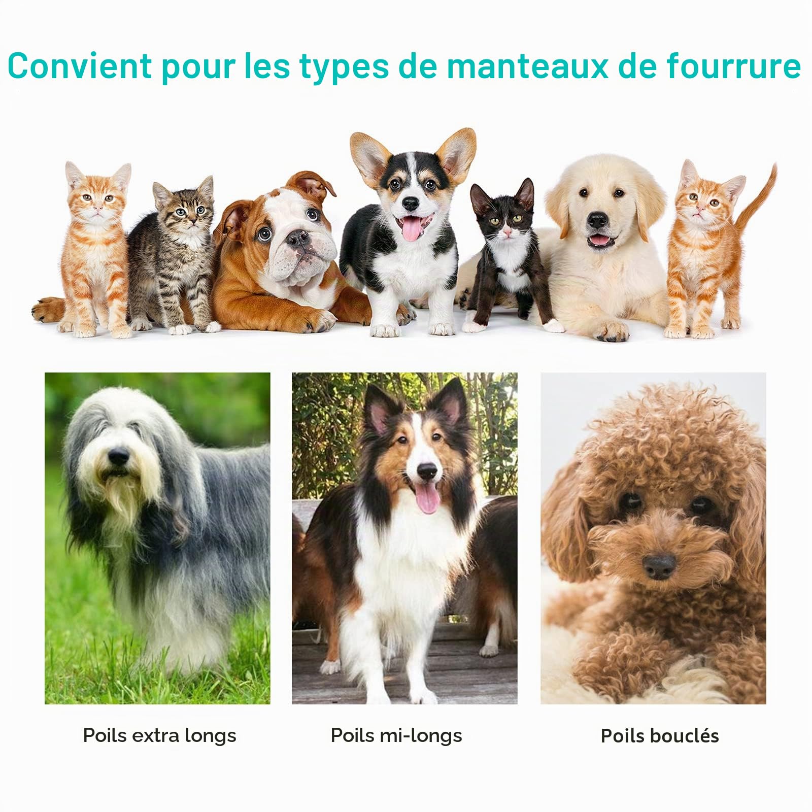 neabot P1 Pro Tondeuse pour Chien/Chat Professionnelle, Aspirateur de Poils pour Animaux, Kit de Toilettage pour Animaux, 5 Outils de Toilettage Éprouvés (Noir)
