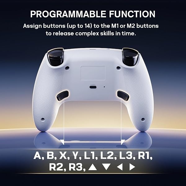 RivalPlay Manette pour Switch/Switch 2, Manette Switch sans Fil avec Lumière RGB/Macro Bouton, Manette Switch avec Bluetooth/Turbo/Bouton de Connexion Rapide/Double Vibration/6 Axes Gyroscope, Blanc - 4