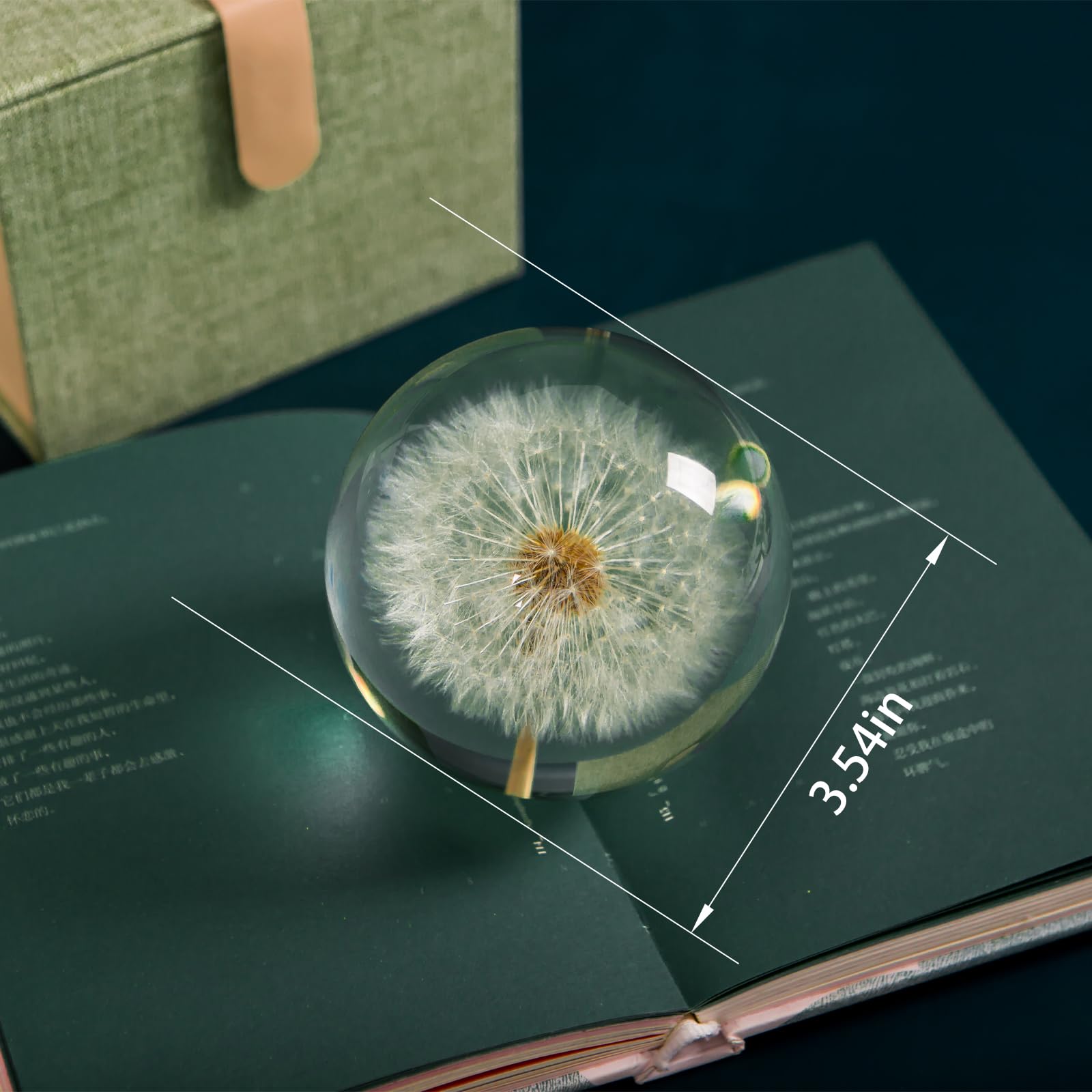 Briefbeschwerer Pusteblume Traumball Kristall Wunschball Einzigartiger Briefbeschwerer aus Pusteblume Geschenk für Frauen Männer (Mama, Papa, Lehrer), Geburtstag, Hochzeit, Valentinstag, Mutter (9 cm)