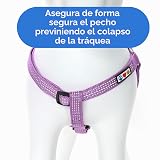 Ver la foto 8