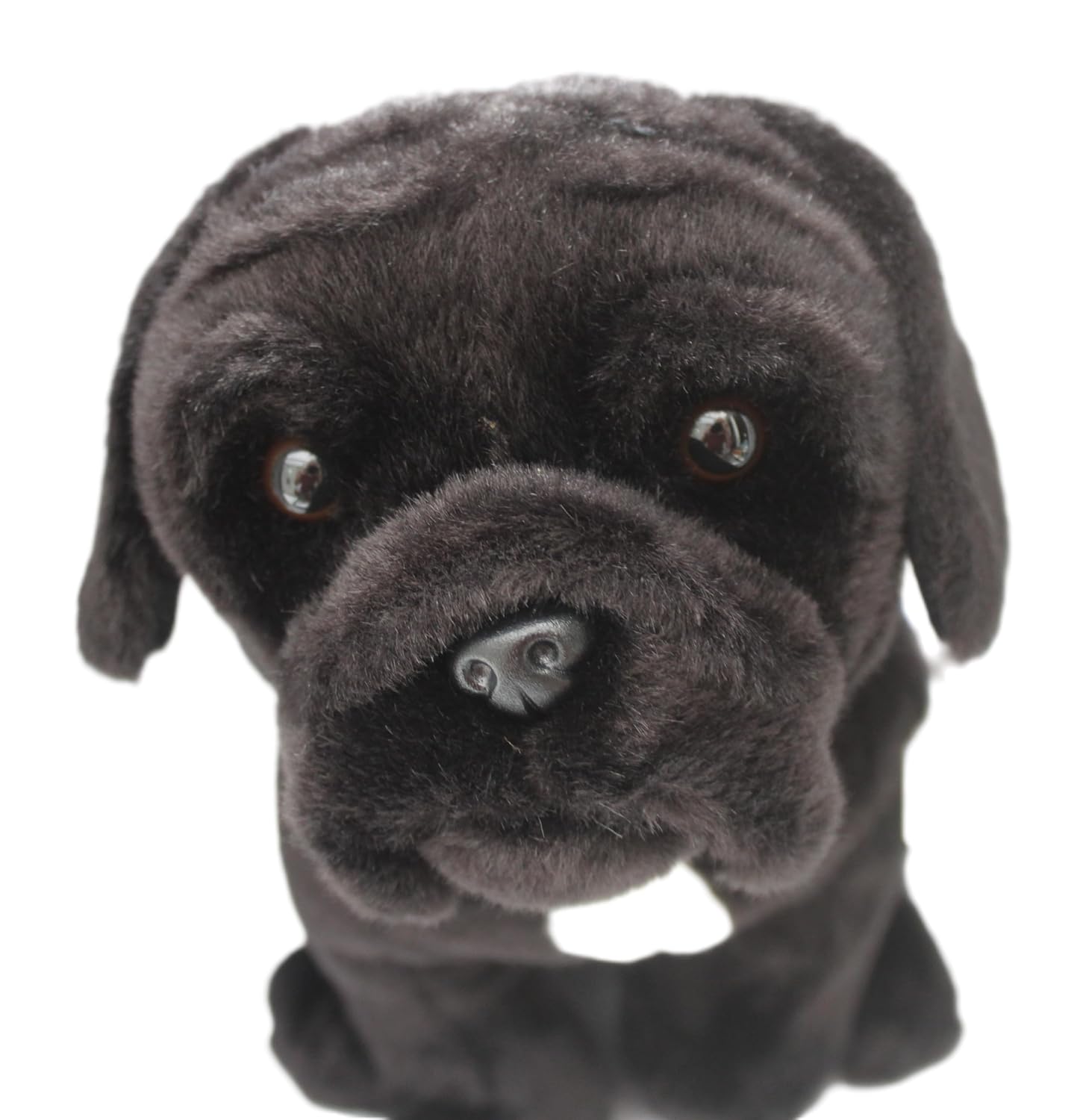Cane Corso Plush Toy with Personalization & Gift Wrap