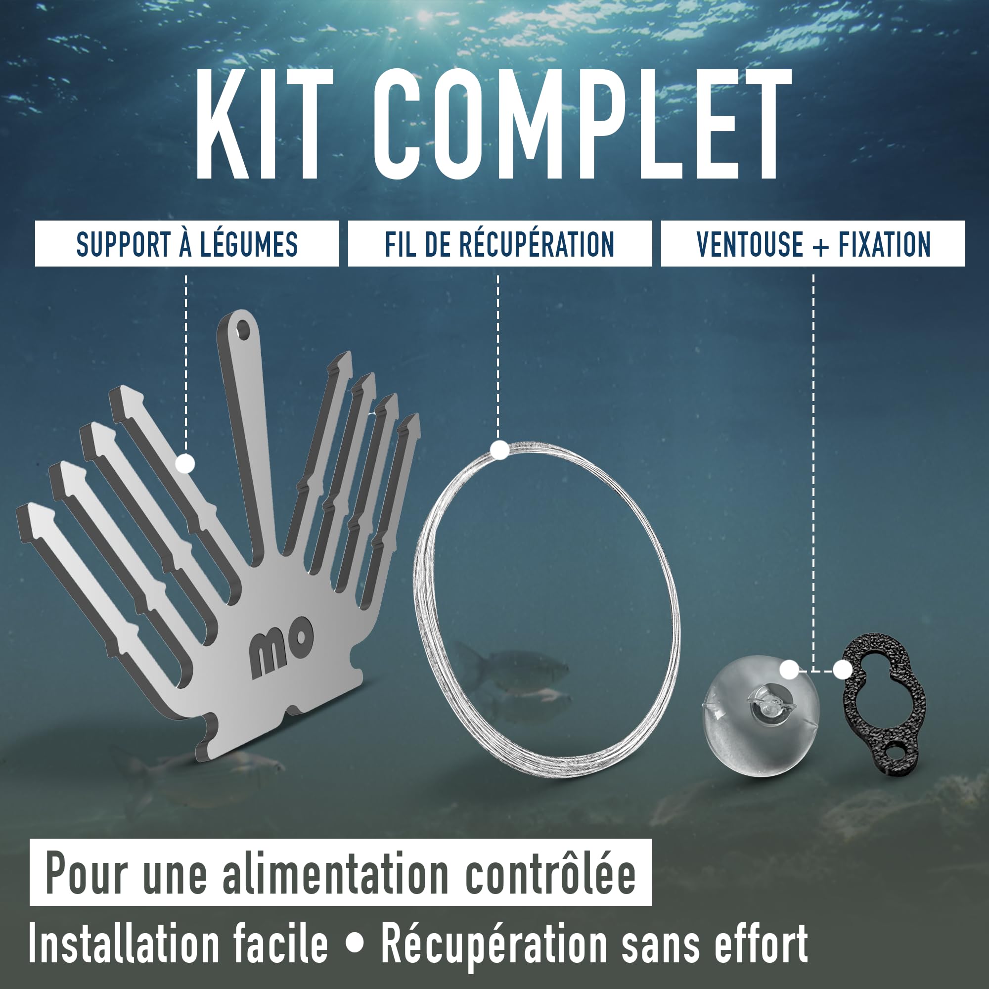 Support Concombre Aquarium INOX – Porte Légumes pour Pleco & Poissons de Fond – Support Nourriture avec Ventouse, Stable, Ne Glisse Pas, Eau Douce & Salée
