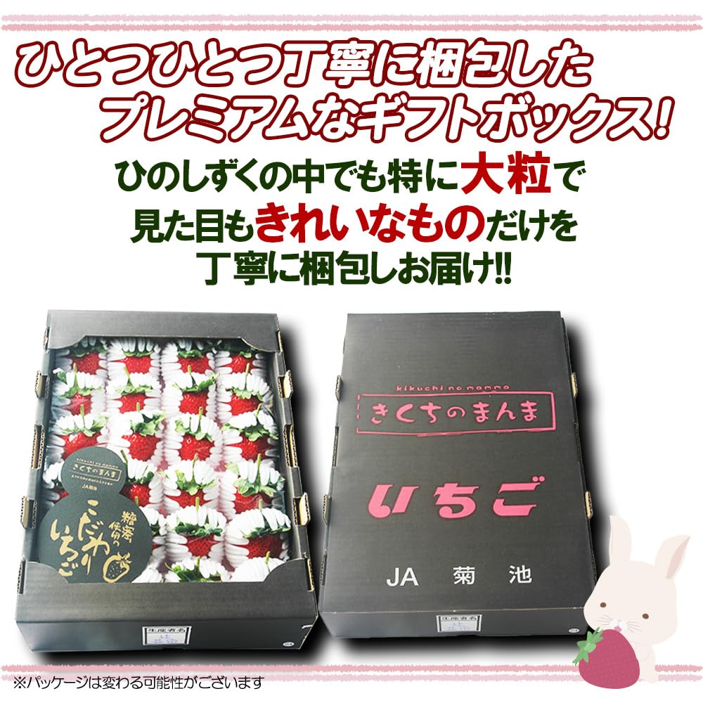 いちご＊捨て垢ブロックします！必読 さん専用 ♡ 毎月楽しみにしてるいちご新聞🍓 今回も全コンプ!! 毎月ちさと一緒