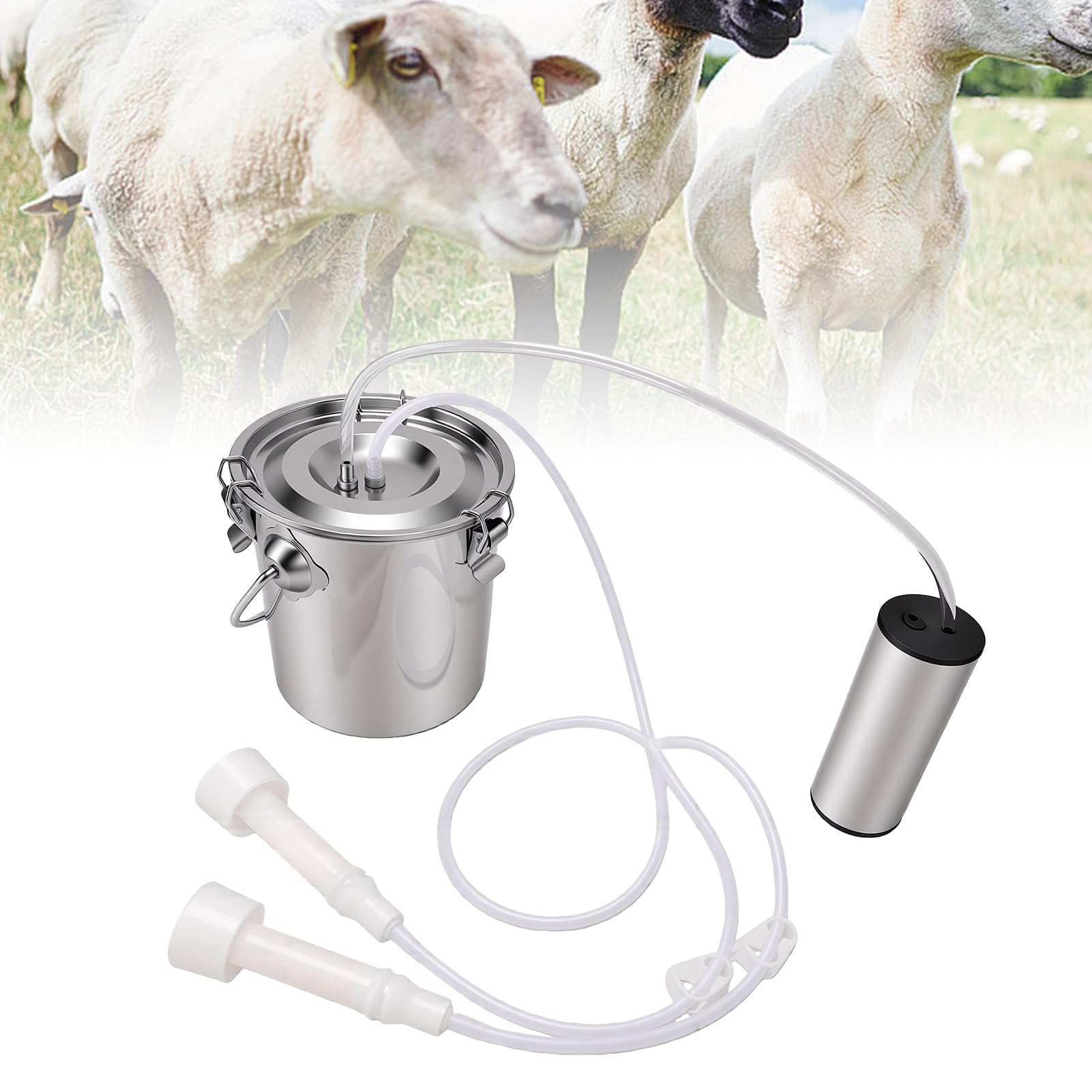 Qcwwy Kuh Melkmaschine, Melkeinsatz mit 3L for Melken von Kühen