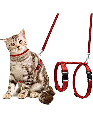 Kitten harnesses and leads Clearance