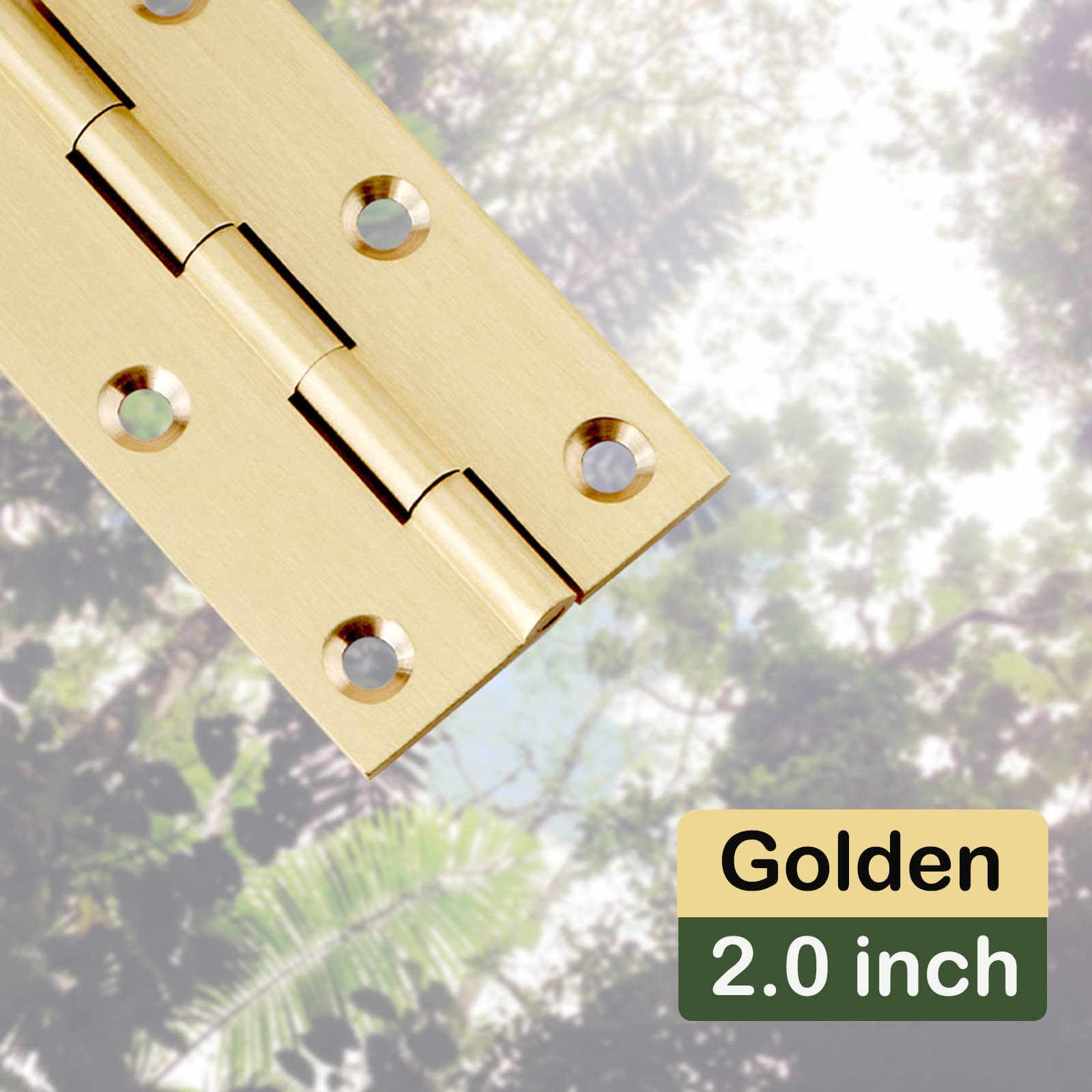 Brass Hinges - Jewelry Box Hinges (8 Pack) -5