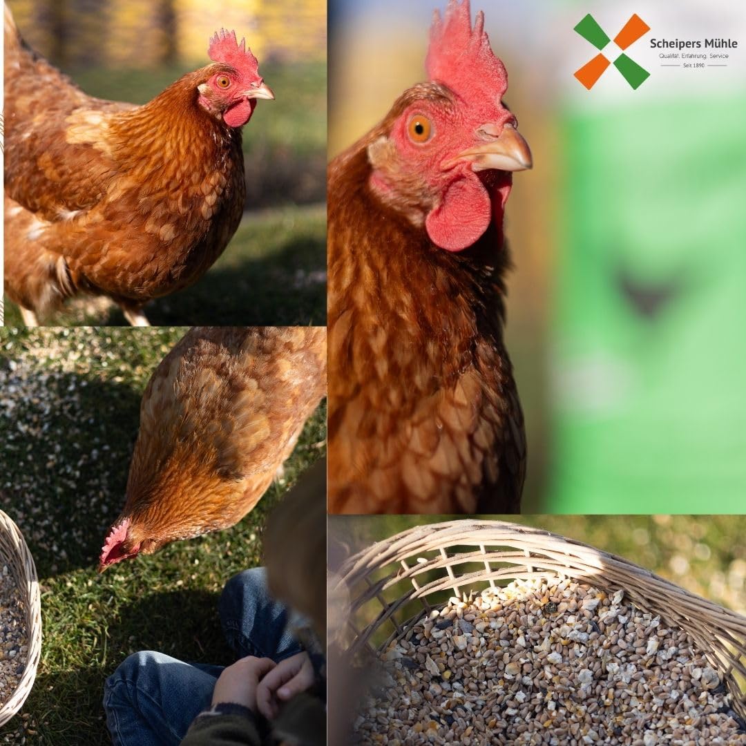 Vogelsand mit Kalk & Anis 25 kg – Badesand für Kanarienvögel, Wellensittiche, Papagein & Hühner - natürliches, geruchsbindendes Einstreu, mit Muschelgrit zur Schnabel- & Krallenpflege