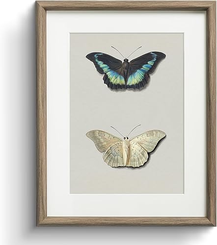 Miniatura 11 de InSimSea Arte de Lienzo Enmarcado para Pared con Paspartú, Impresiones Artísticas de Mariposas Melancólicas y Botánicas, Arte de Pared Botánico