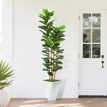 Artificial Fiddle Leaf Fig Tree,6ft Tall Fake Plant Indoor with White Planter,Faux Ficus Tree with Natural Wood Trunk for Home Living Room Office Decor