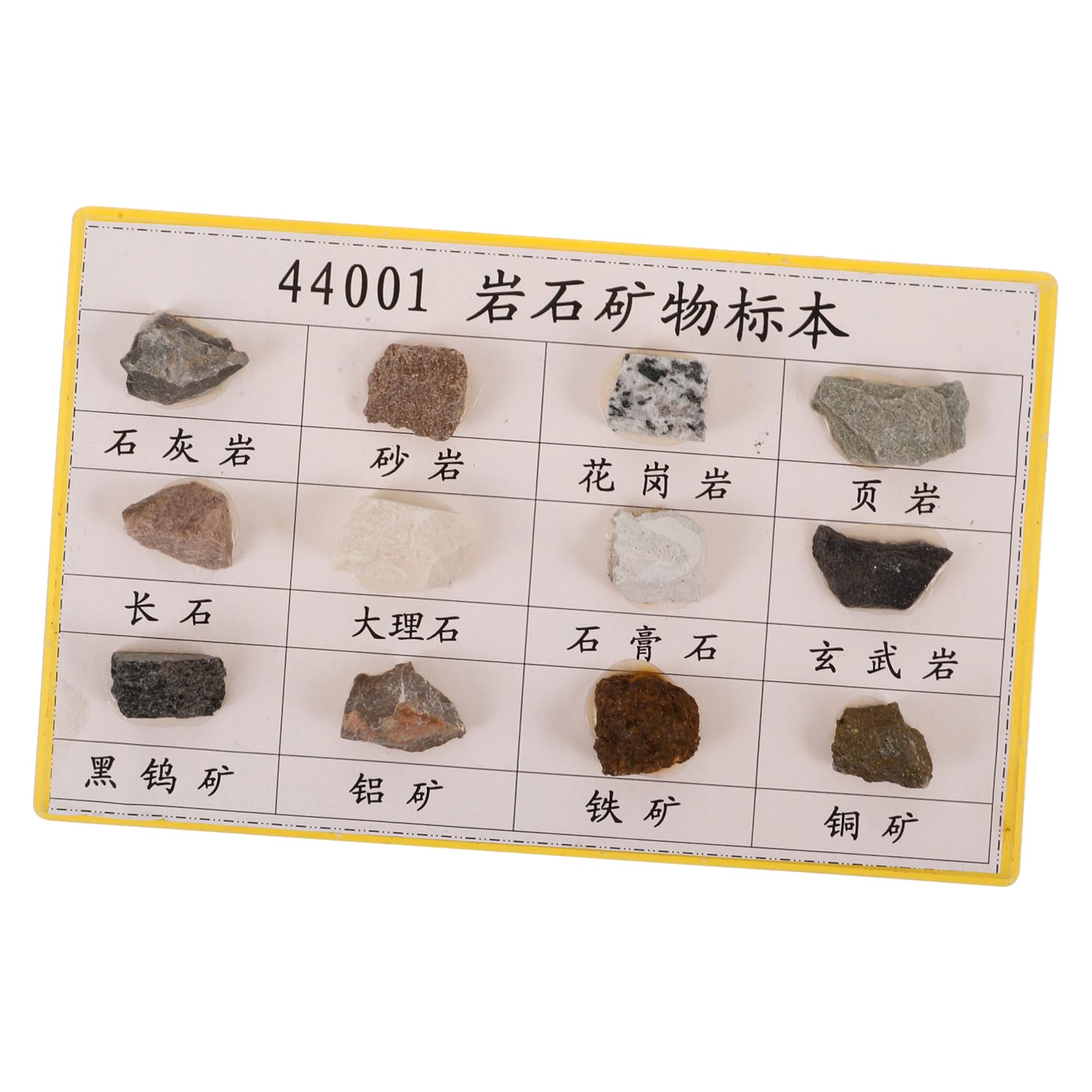 Gatuida 12-Piece Mineral Rock Specimen Set for Geology Classroom Teaching Rocks Display Lab Specimens for Students