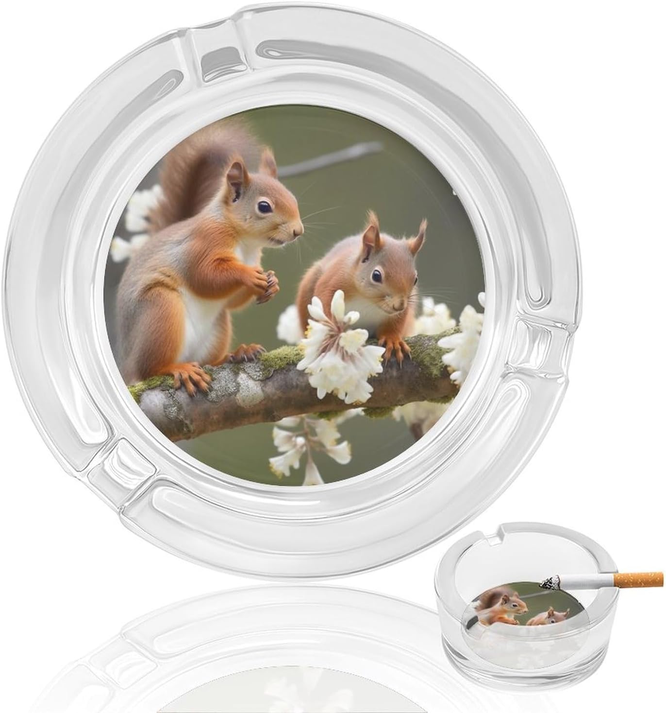 Glass Ashtrays,Squirrels Printed Round Ashtrays Portable Decorative Modern Ashtrays Non-slip Ashtrays for Home Office Indoor Outdoor