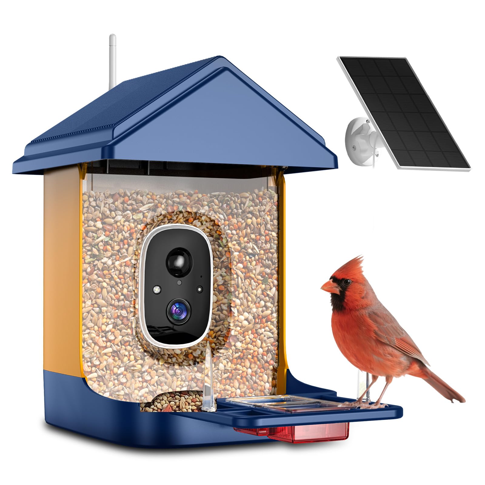 Comedero para pájaros con cámara con identificación IA, panel solar para pájaros de más de 10000 especies, casa inteligente para pájaros con cámara, vista en vivo 2K, alertas de llegada instantánea