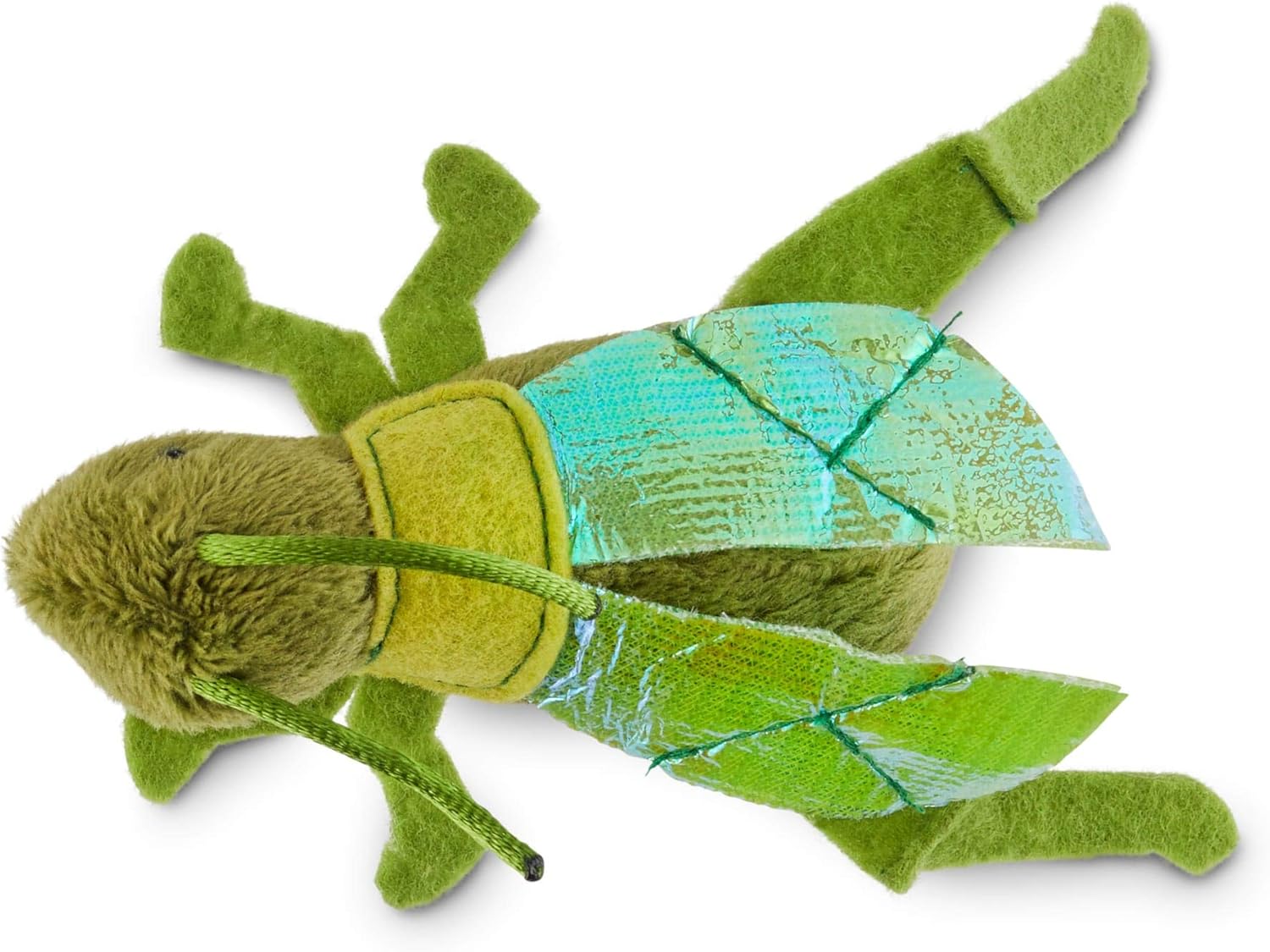 petsmart talking birds