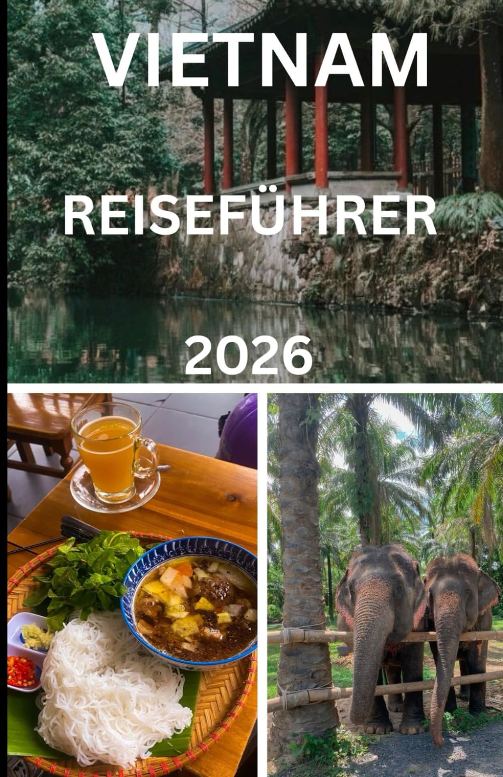 vietnam reiseführer 2026
