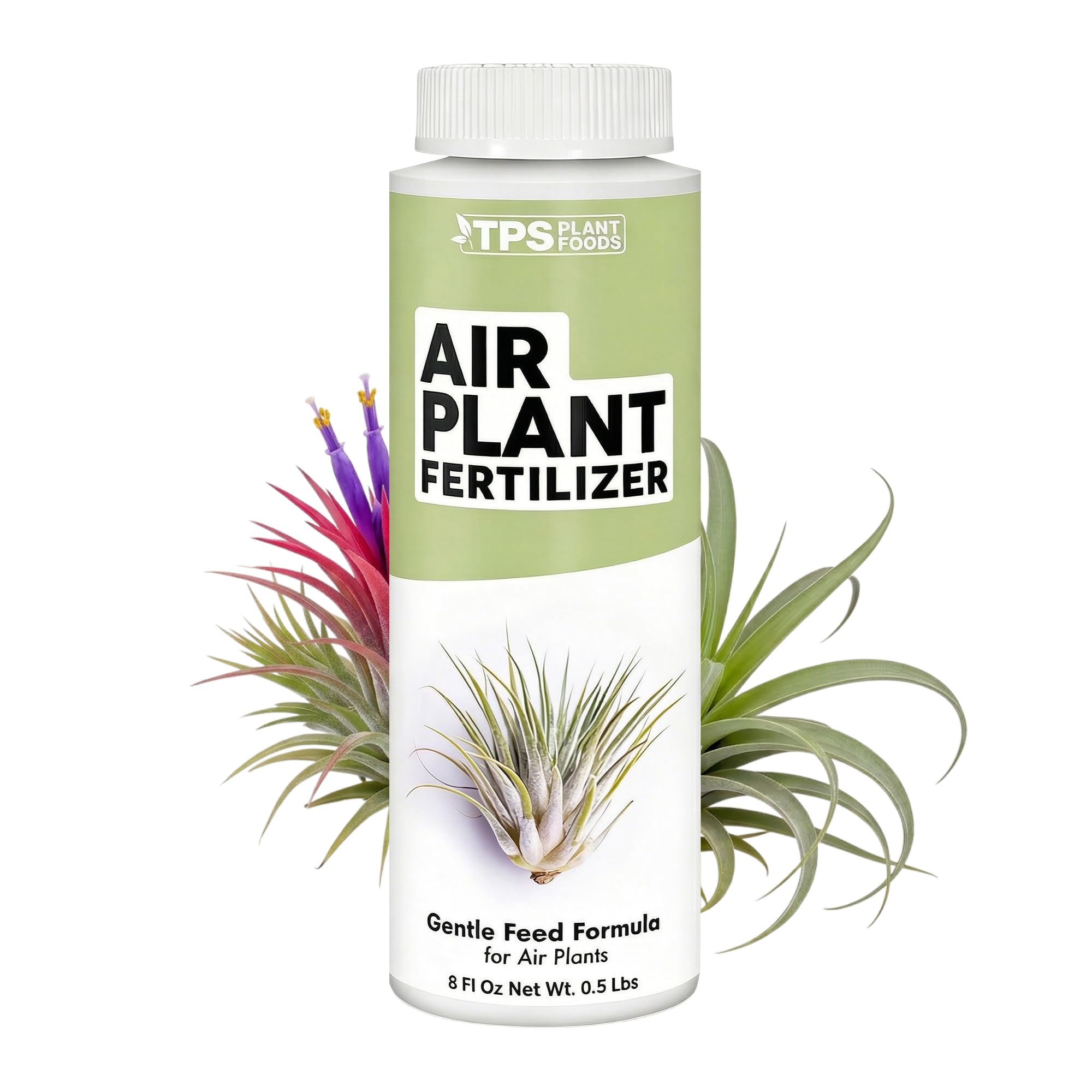 Amazon.com : Air Plant Fertilizer - Liquid Plant Food for All Tillandsia  Air Plants, Use As Foliar Spray or for Soaking, 8 oz : Patio, Lawn & Garden