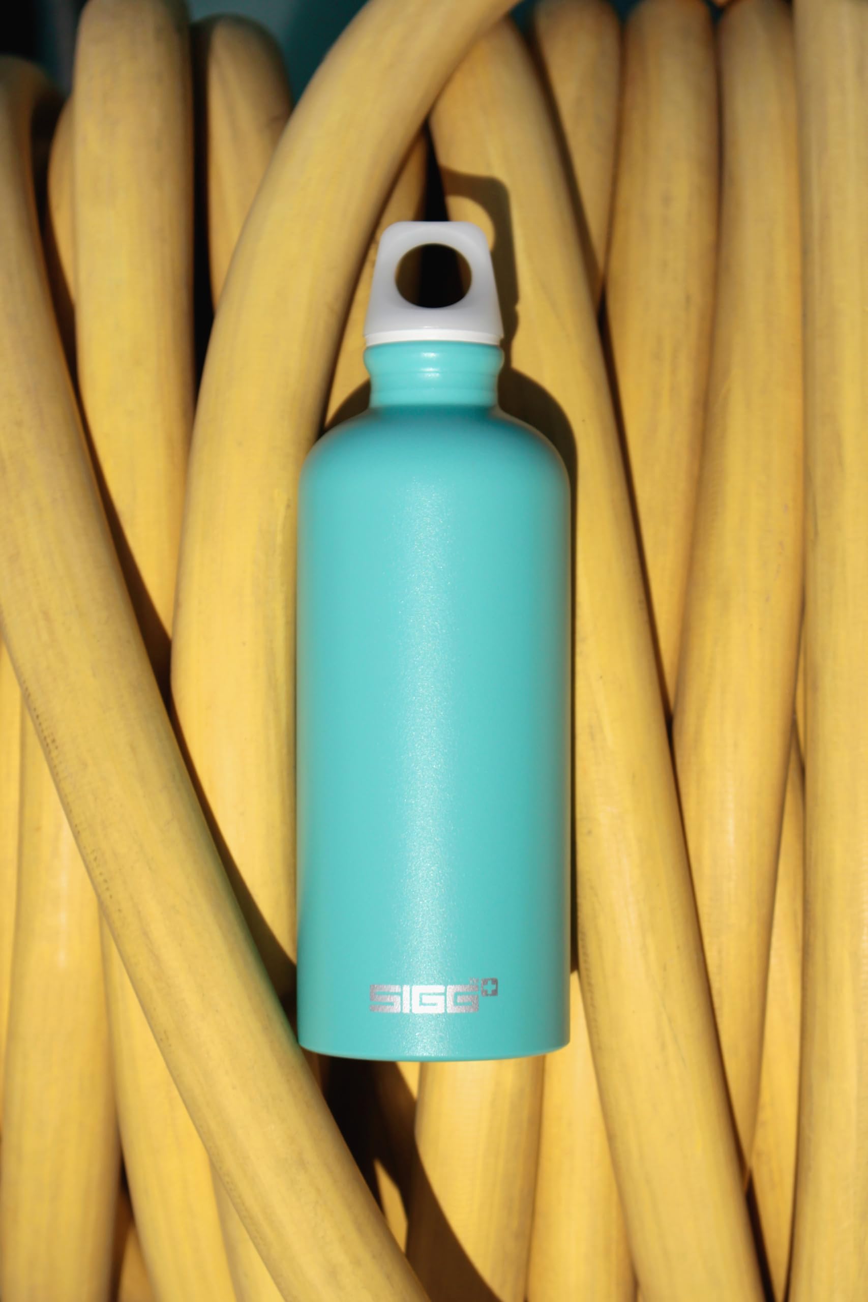 Amazon.co.jp: SIGG(シグ) アウトドア アルミ製ボトル トラベラー