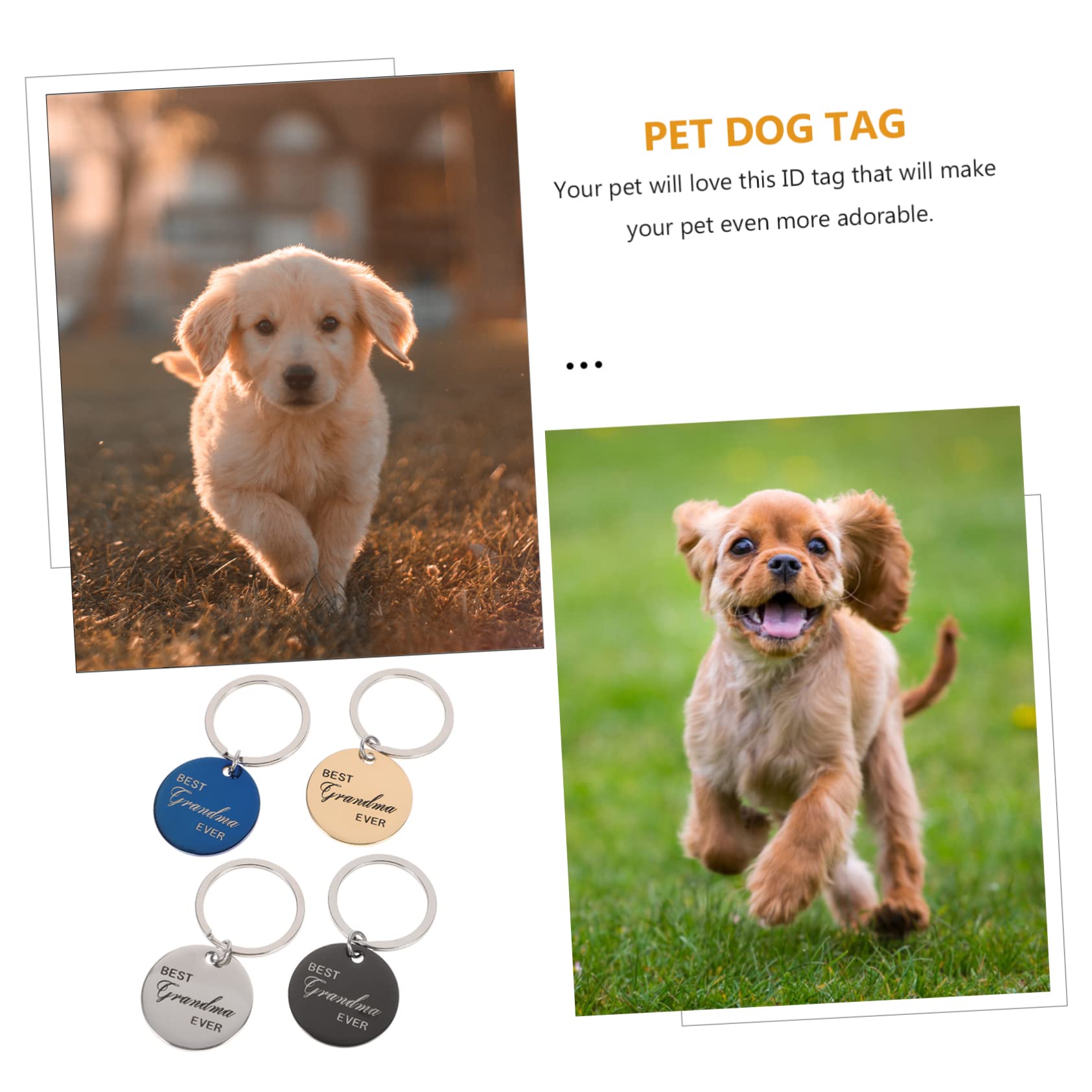 Toddmomy 20pièces Médaillons Identification pour Animaux Acier Étiquettes Gravées pour Et Chiens Accessoires Personnalisables avec Nom Et Coordonnées