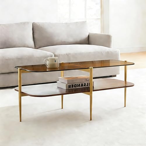 Miniatura 29 de Shrine - Mesa de café rectangular, diseño moderno de mediados de siglo, estructura de 2 niveles, parte superior de vidrio transparente y estante de